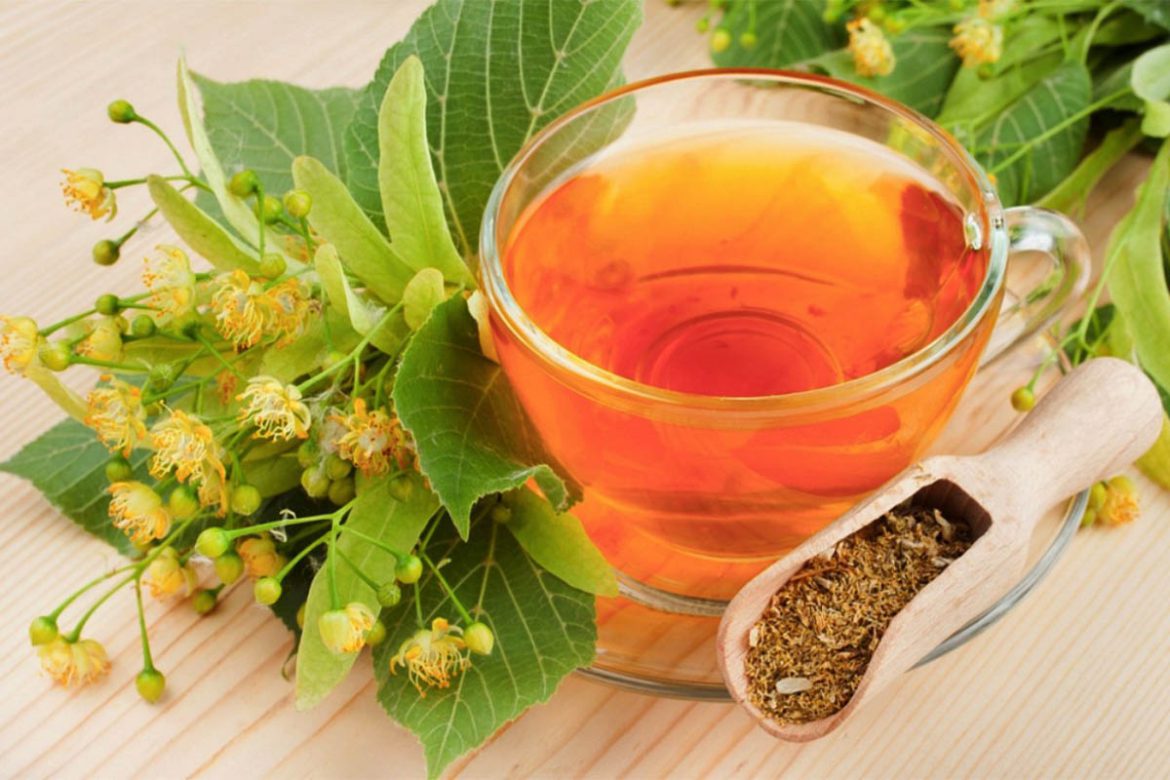 Benefits and recipes of medicinal herb tea