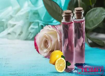 Purchase and today price of pure rose water canada