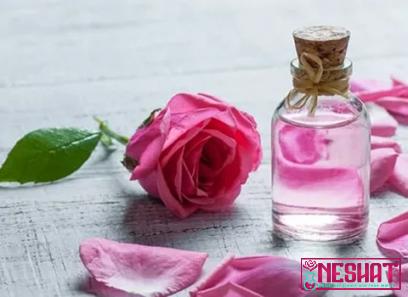 Purchase and price of organic rose water amazon types