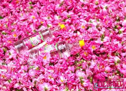 Which is the best pure rose water? + Complete comparison great price