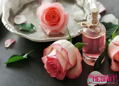 Purchase and today price of co natural rose water