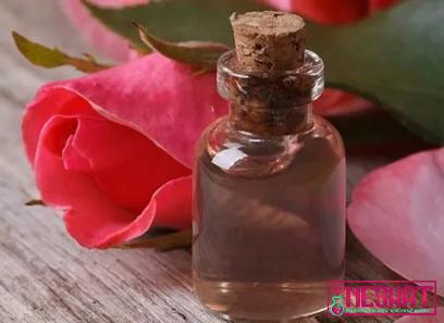 Purchase and today price of organic rose water canada