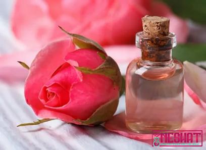 Purchase and price of dabur gulabari rose water types