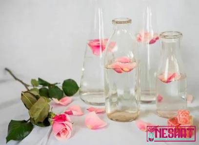 Purchase and price of anna nagar rose water types