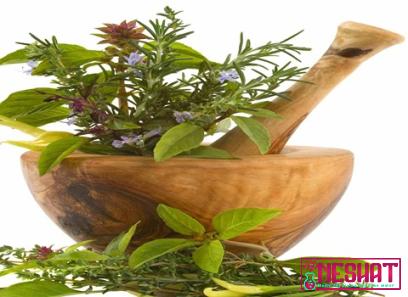 Buy and price of natural herbal remedies for headaches