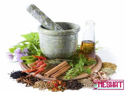 Purchase and price of powerful medicinal plants types