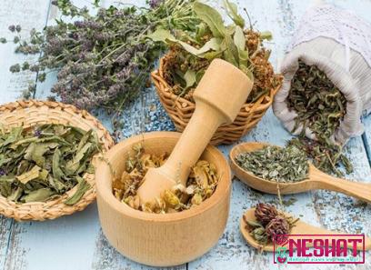 Buy most powerful medicinal herbs at an exceptional price