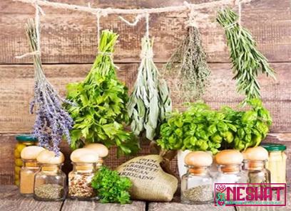 important medicinal plants of tamil nadu | Buy at a cheap price