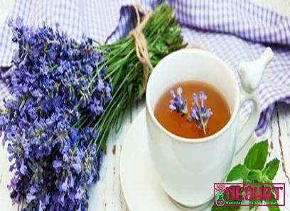 The purchase price of cotswold lavender + advantages and disadvantages