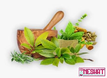 Purchase and price of powerful medicinal herbs types