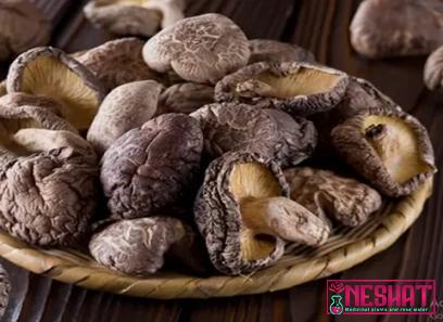 Buy most popular medicinal mushrooms at an exceptional price