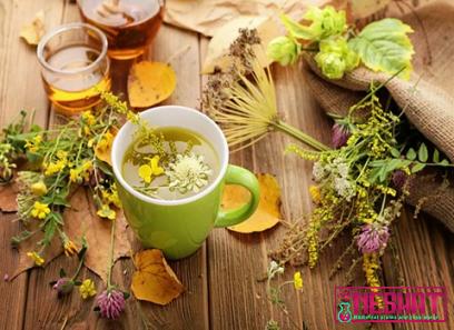 Purchase and price of popular herbal medicines types