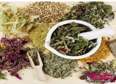 Purchase and price of natural herbs medicine types