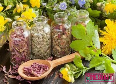 The price and purchase types of common medicinal flowers