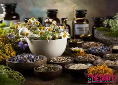 Buy important medicinal plants in india + best price