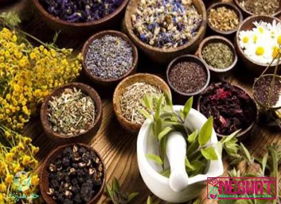 The price and purchase types of important medicinal herbs