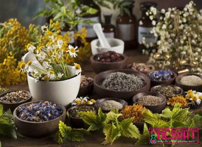 The price and purchase types of common medicinal plants