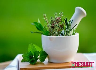 herbal medicine herbs organic | Buy at a cheap price