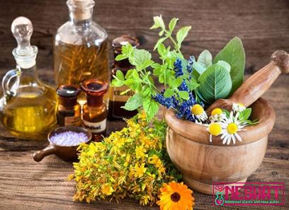 Buy most popular medicinal plants at an exceptional price