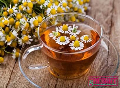 Buy and price of acid reflux chamomile tea