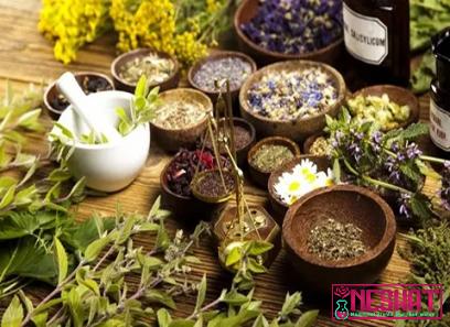 medicinal plants of common name | Buy at a cheap price