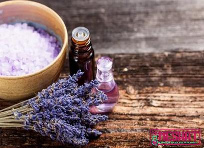 The purchase price of daniela lavender + advantages and disadvantages