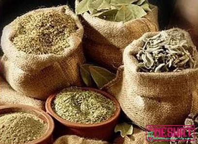 Purchase and price of wormwood medicinal plant types