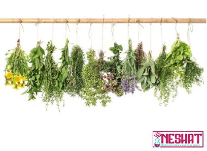 Buy common medicinal plants in bangladesh at an exceptional price