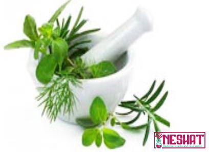 Buy most popular medicinal herbs at an exceptional price