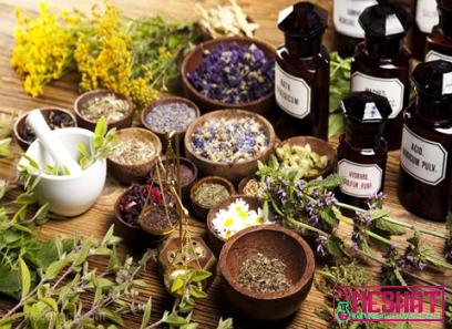 Buy top medicinal plants in india at an exceptional price