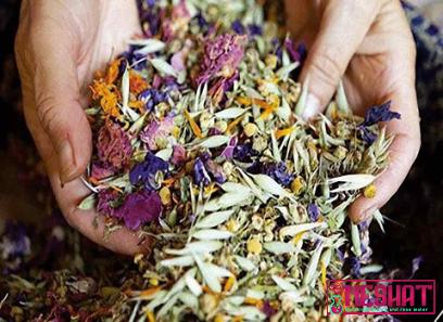 Purchase and price of latest herbal medicine types