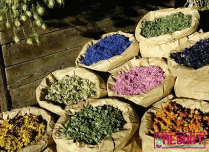 hommade natural medicine plants | Buy at a cheap price