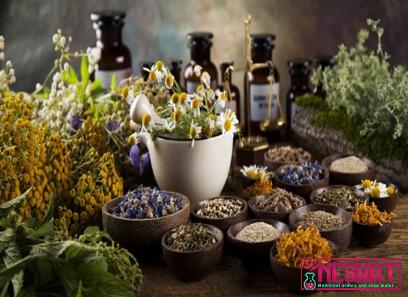 Purchase and price of natural plant medicines types