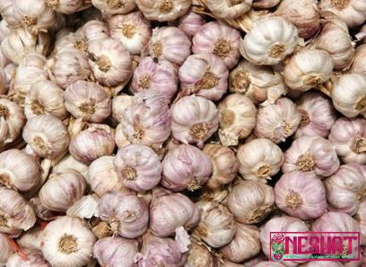 Buy all kinds of confit garlic at the best price