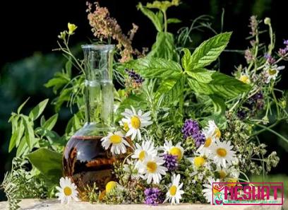 Price and buy most common medicinal herbs + cheap sale