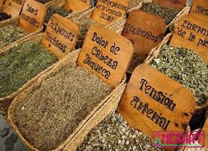 most common traditional medicinal plants in sudan | great price